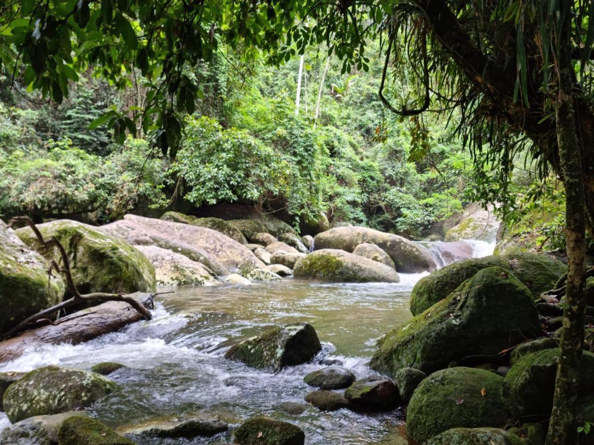 Recanto Da Margo 1, Casa Com Acesso A Cachoeira Paraty Dış mekan fotoğraf
