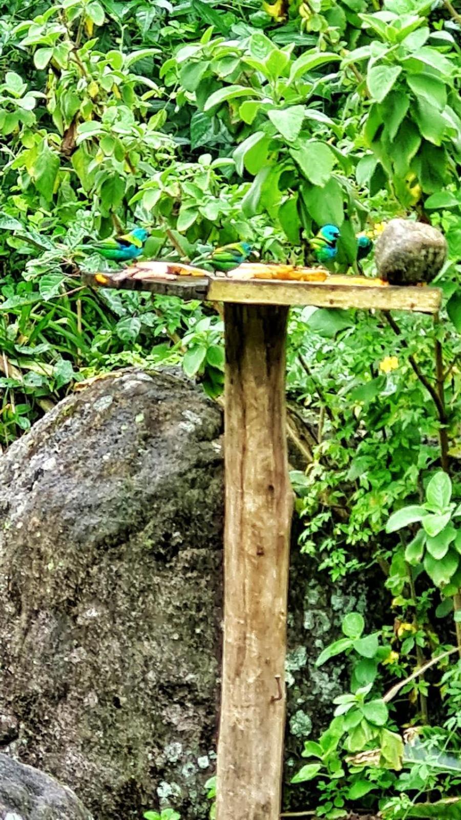 Recanto Da Margo 1, Casa Com Acesso A Cachoeira Paraty Dış mekan fotoğraf
